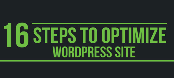 16_steps_optimize_wordpress_site