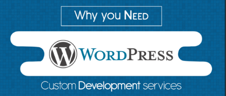 why you need wordpress custom development services