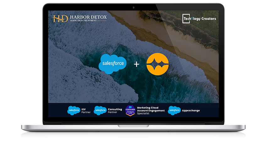 Case Study - Harbor Detox - Tech9lofy Creators