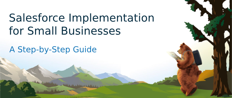 Salesforce Implementation for Small Businesses: A Step-by-Step Guide