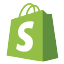 Shopify SEO Services - Tech9logy Creators