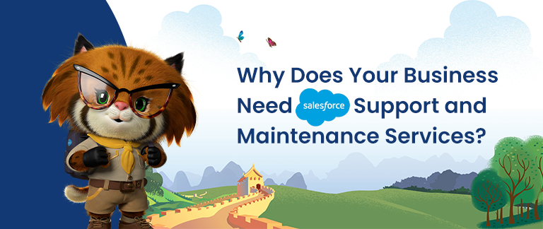 Why Does Your Business Need Salesforce Support and Maintenance Services?